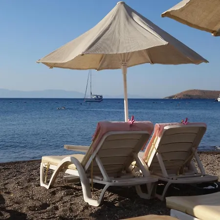 Viras Hotel Ortakent