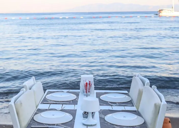 Viras 오르타켄트