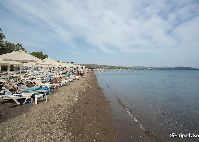 Viras Hotell Ortakent