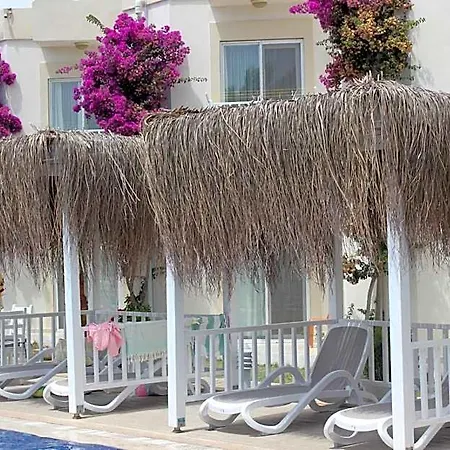 Viras Hotel 3*